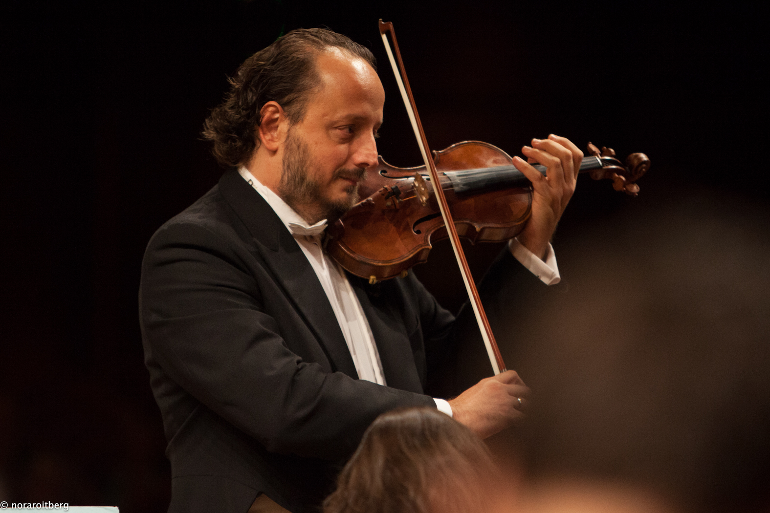 Luca Santaniello Violinista